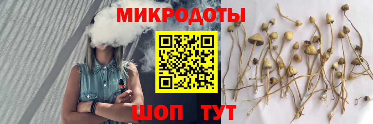 купить наркотики цена  Галлюциногенные грибы Cubensis  Вход с VPN  Архангельск  Псилоцибиновые грибы GOLDEN TEACHER 
